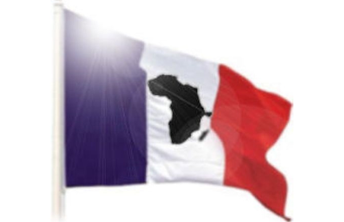 Certains analystes, comme Placide Moussounda de la Nouvelle Afrique, soutiennent que l'Afrique francophone a tru00e8s peu bénéficié de la France depuis l'indépendance